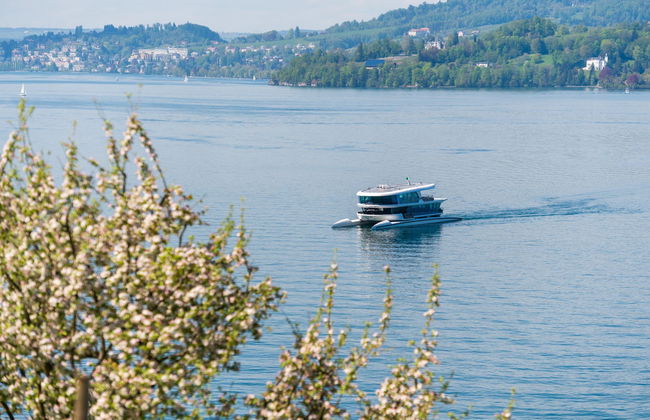 Paseo en catamarán por el lago de Lucerna - Foto 2