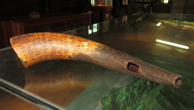 Excursión a un pueblo cimarrón - Foto 3