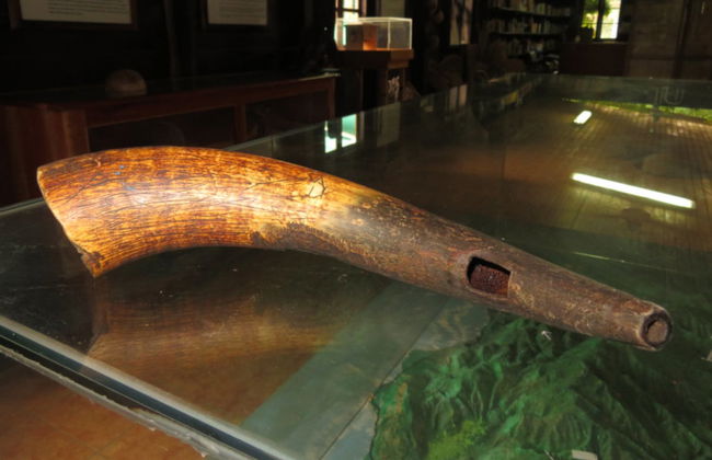 Excursión a un pueblo cimarrón - Foto 3