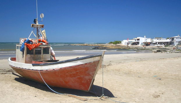 Excursión privada a Cabo Polonio - Foto 3