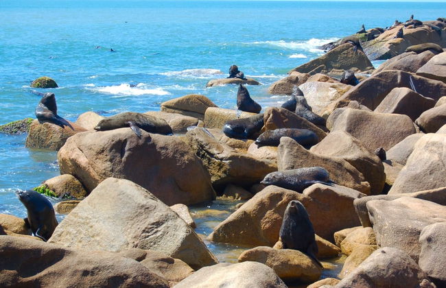 Excursión privada a Cabo Polonio - Foto 2