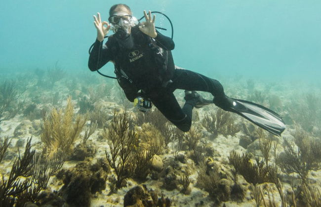 Bautismo de buceo en San Andrés - Foto 8