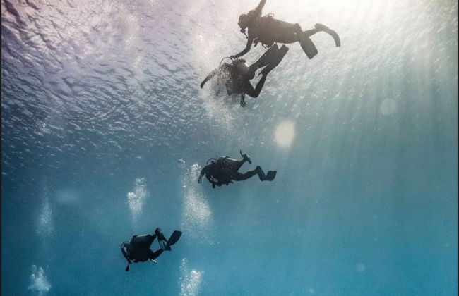 Bautismo de buceo en San Andrés - Foto 1