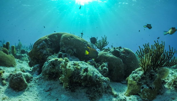 Snuba em San Andrés - Foto 3