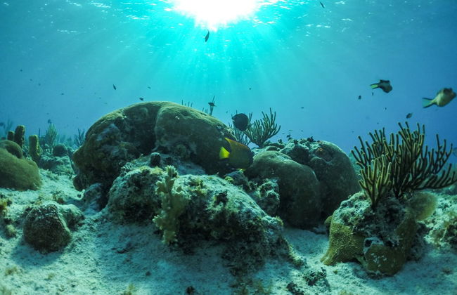 Batismo de mergulho em San Andrés - Foto 2