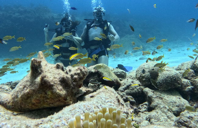 Bautismo de buceo en San Andrés - Foto 4