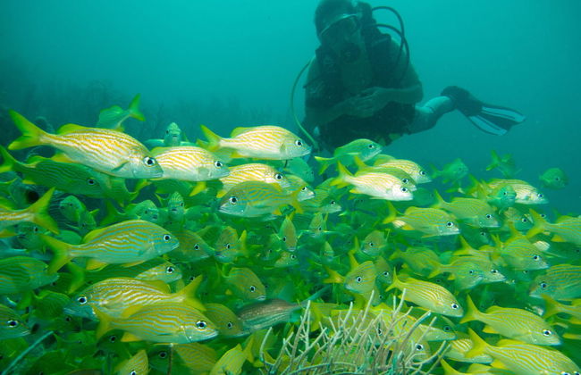 Batismo de mergulho em San Andrés - Foto 3
