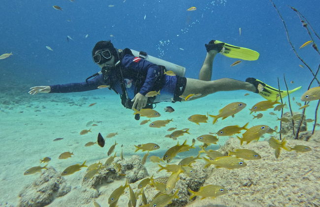 Bautismo de buceo en San Andrés - Foto 3