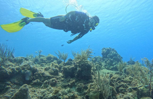 Bautismo de buceo en San Andrés - Foto 7