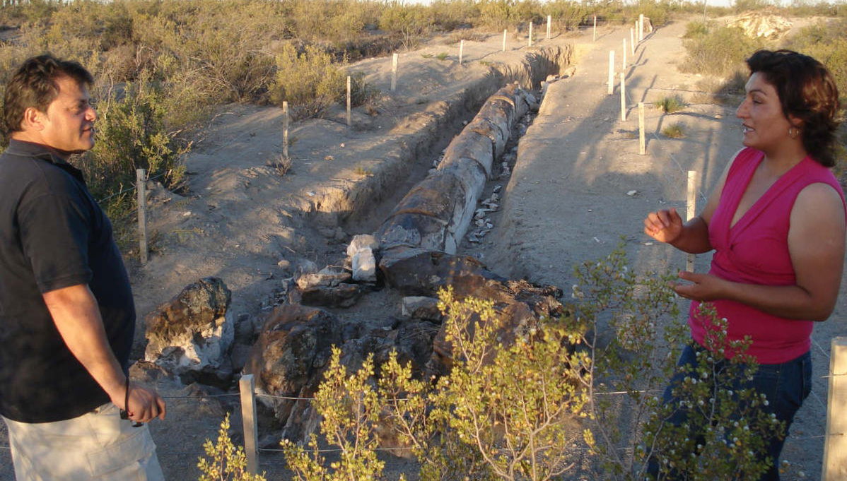 Excursión a Valcheta y Bosque Petrificado - Foto 1