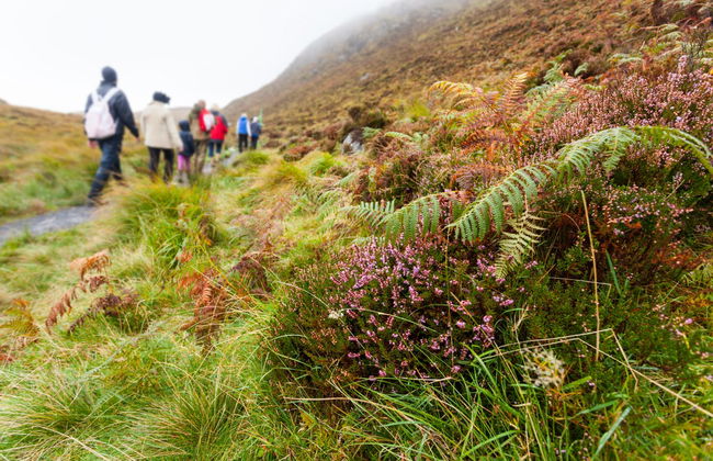 Connemara National Park Trekking - Foto 1