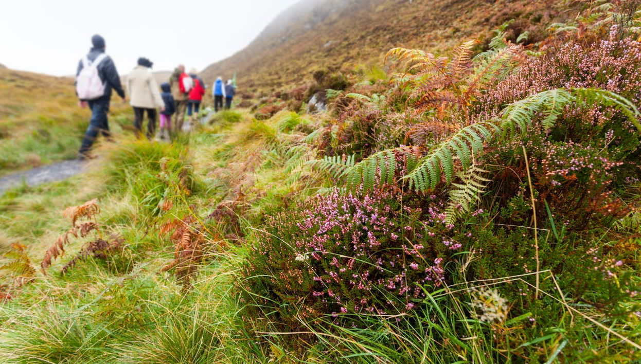 Connemara National Park Trekking - Foto 1