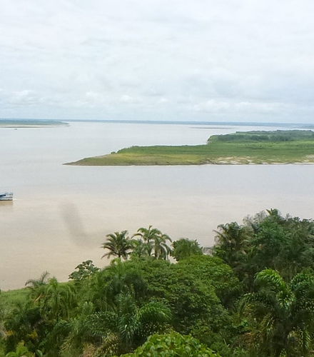 Foto de Excursión a las lagunas de Yarinacocha y Pacacocha