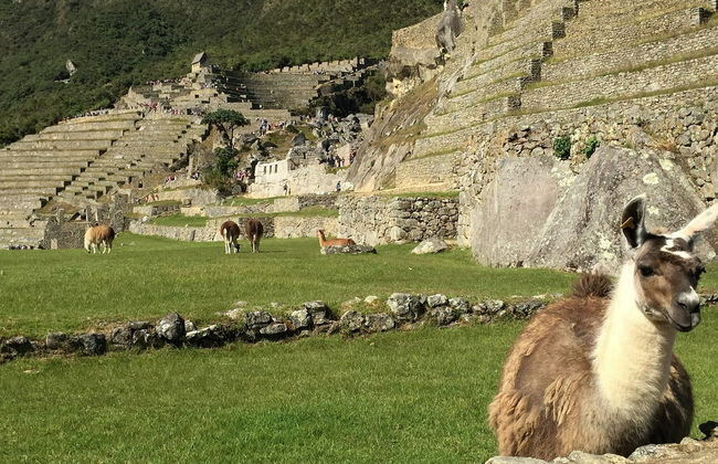 Trekking de 2 días por el Camino Inca - Foto 3