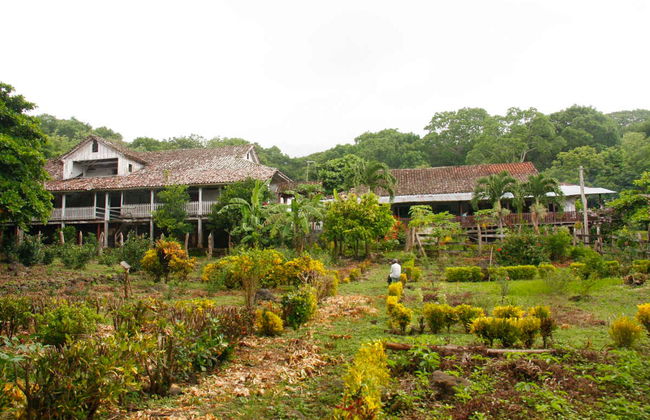 Excursión a la isla de Ometepe - Foto 6