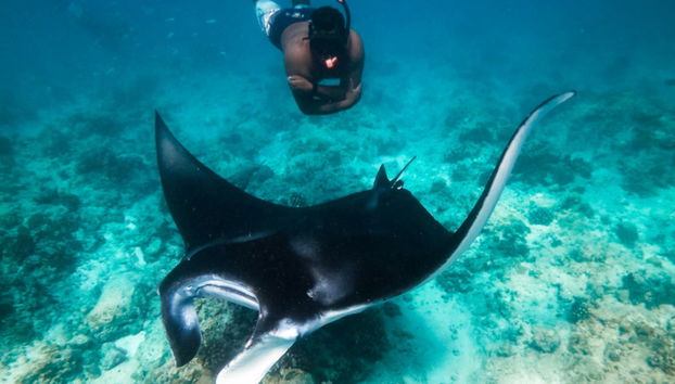 Snorkel en Huraa - Foto 2