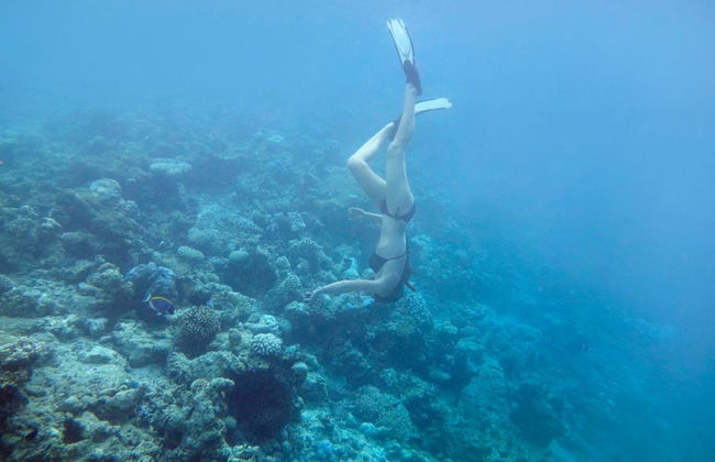 Snorkel en Huraa - Foto 6