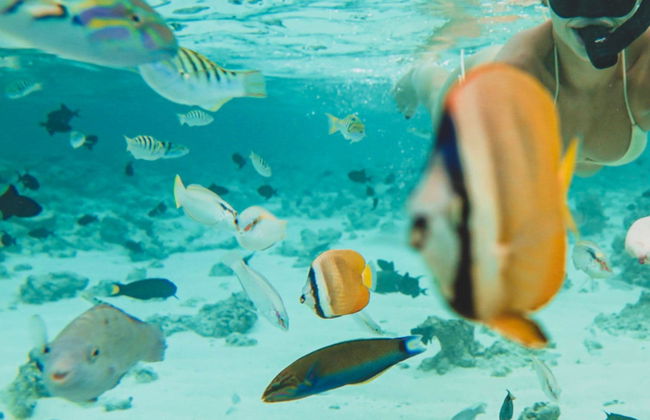 Snorkel en Huraa - Foto 2