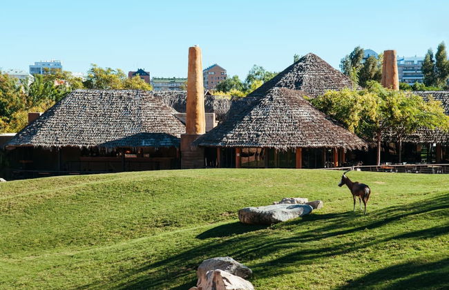 Excursão a Valência + Bioparc - Foto 7