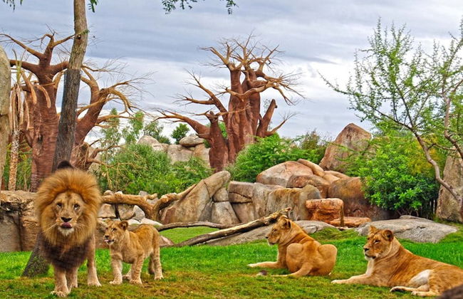 Excursão a Valência + Bioparc - Foto 3