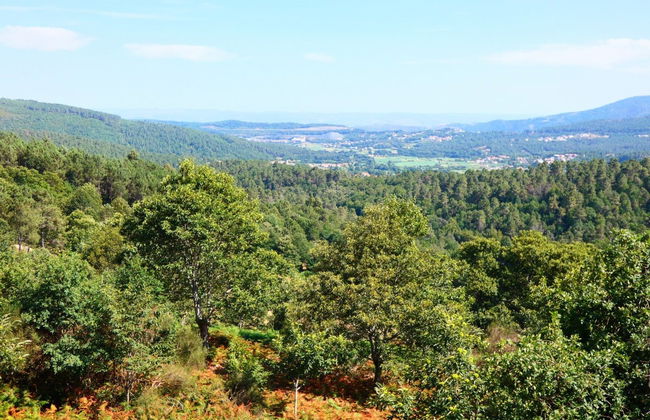 Alvão Natural Park Hiking Tour - Photo 1