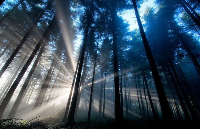 Senderismo nocturno por la Reserva Natural Monte Alto - Foto 7