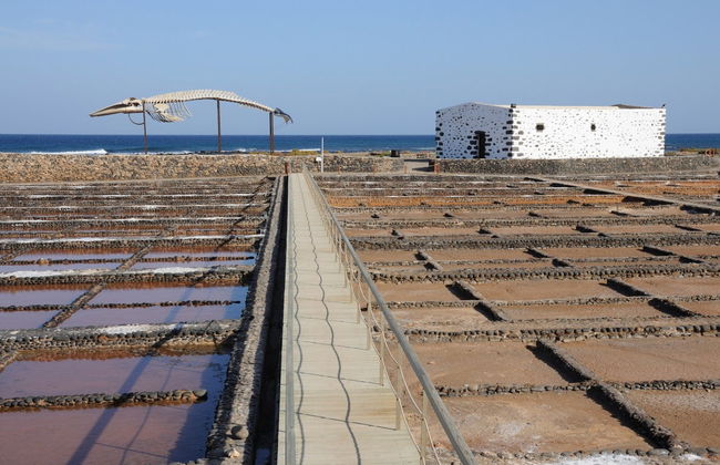 Caleta de Fuste Buggy Tour - Photo 6