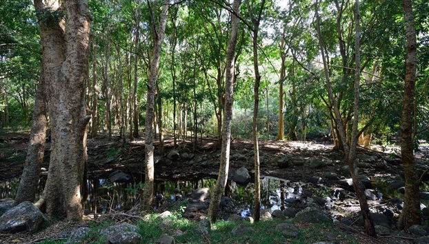 Excursión privada por el sur de Isla Mauricio - Foto 3