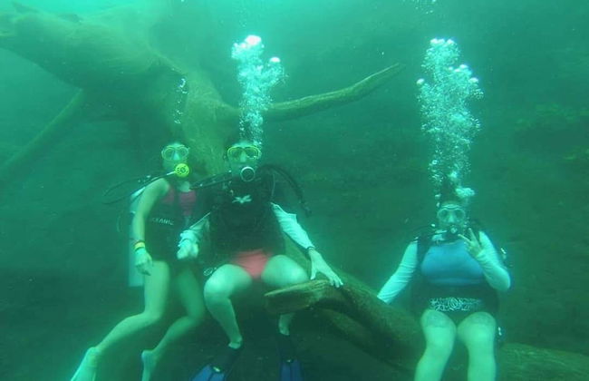 Buceo en la laguna de la Media Luna - Foto 3