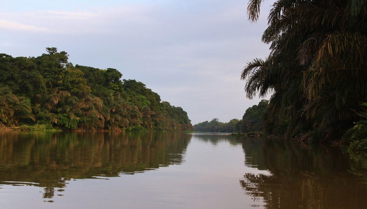 Rafting en el río Pacuare - Foto 1