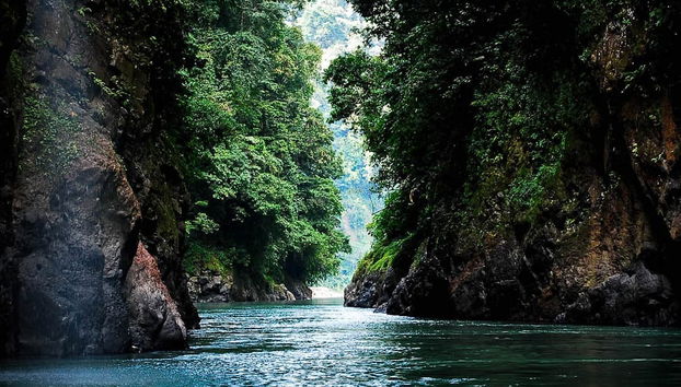 Rafting en el río Pacuare - Foto 3