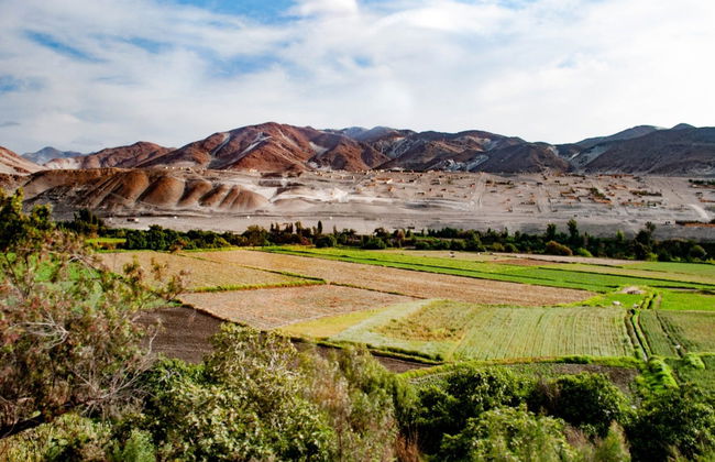 Excursion à la montagne multicolore et au désert de sel de la Laguna Blanca - Photo 1