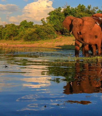 Foto de Safari privado por el Parque Nacional Kruger
