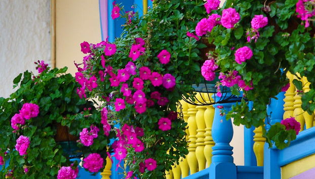 Excursion à Filandia, Salento et dans la vallée de Cocora - Photo 4