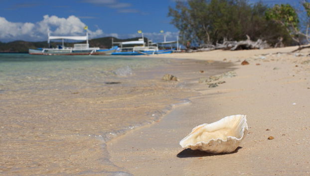 Bulog Dos, Malcapuya and Banana Islands Tour - Foto 2