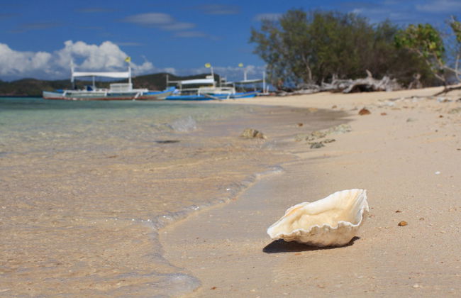 Excursão a Bulog Dos, Malcapuya e Banana Island - Foto 2