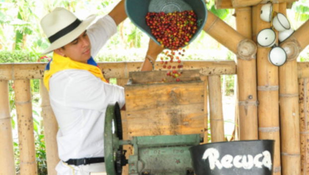 Finca Recuca Visit - Foto 3