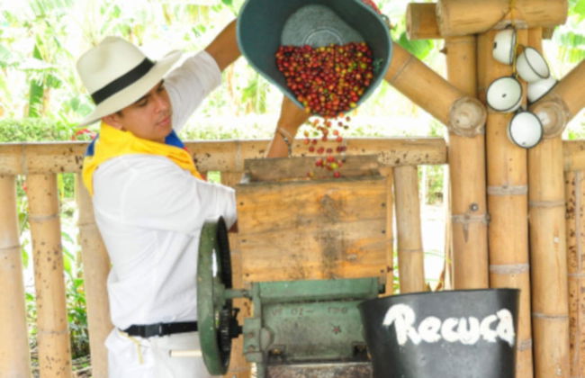 Finca Recuca Visit - Foto 3