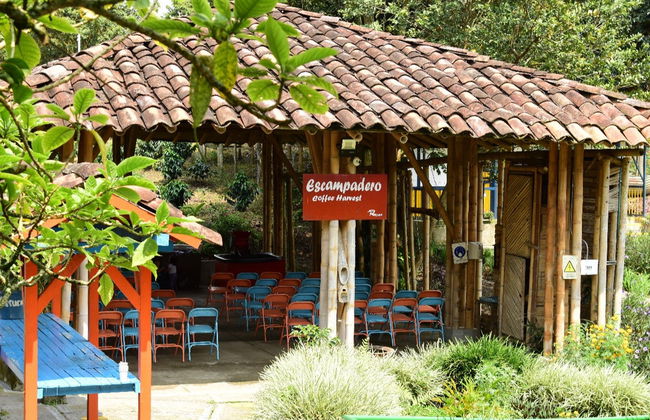 Excursión a la Finca Recuca - Foto 4