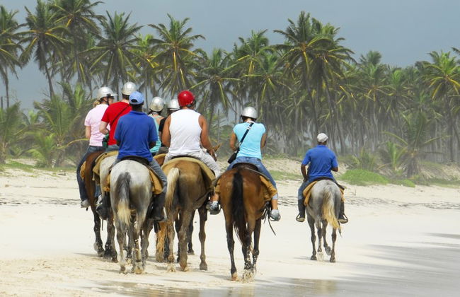 Paseo a caballo por Providencia - Foto 4