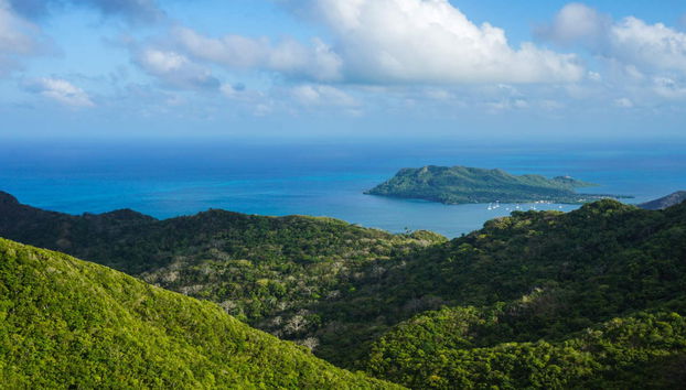 Paseo a caballo por Providencia - Foto 3