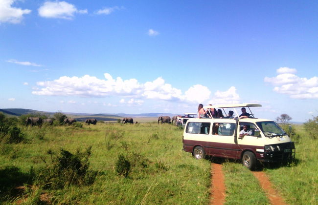 Masai Mara Private Safari: 2 Days - Photo 4