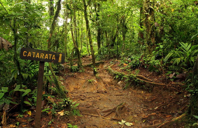 Trekking al Río Celeste - Foto 2