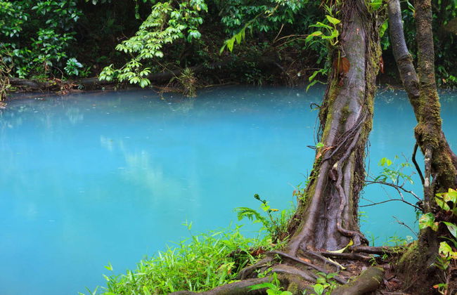 Senderismo por el río Celeste - Foto 2