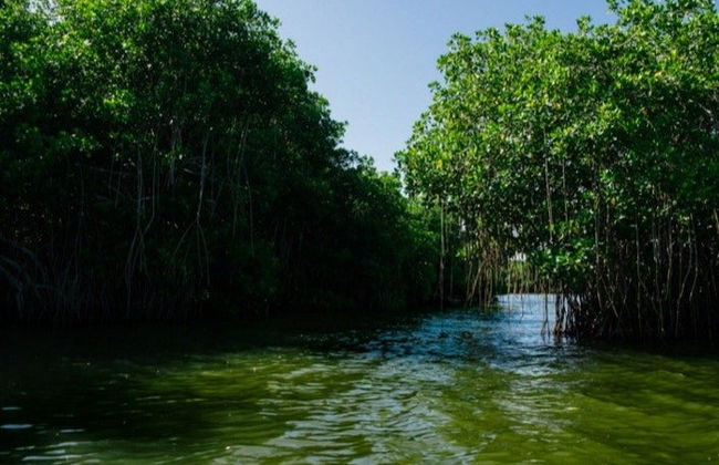 Excursión a Ciénaga - Foto 7