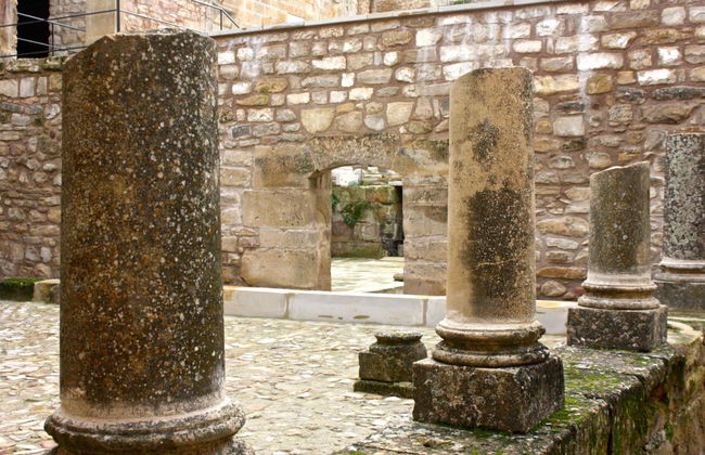 Visita guiada por el Castillo de Sabiote - Photo 1