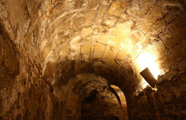 Visita guiada por el Castillo de Sabiote - Photo 2