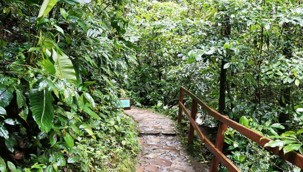 Trilha pelo Alto Shilcayo - Foto 3