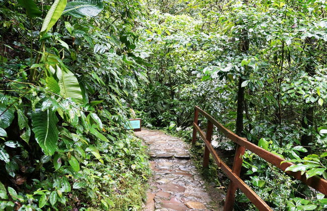 Trilha pelo Alto Shilcayo - Foto 3