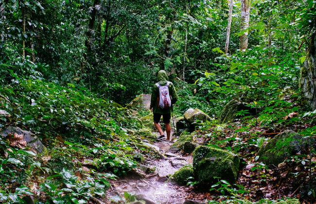 Trilha pelo Alto Shilcayo - Foto 1